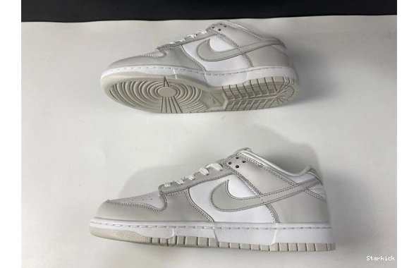 DD1503-103 Dust" Dunk Nike Low "Photon 0113